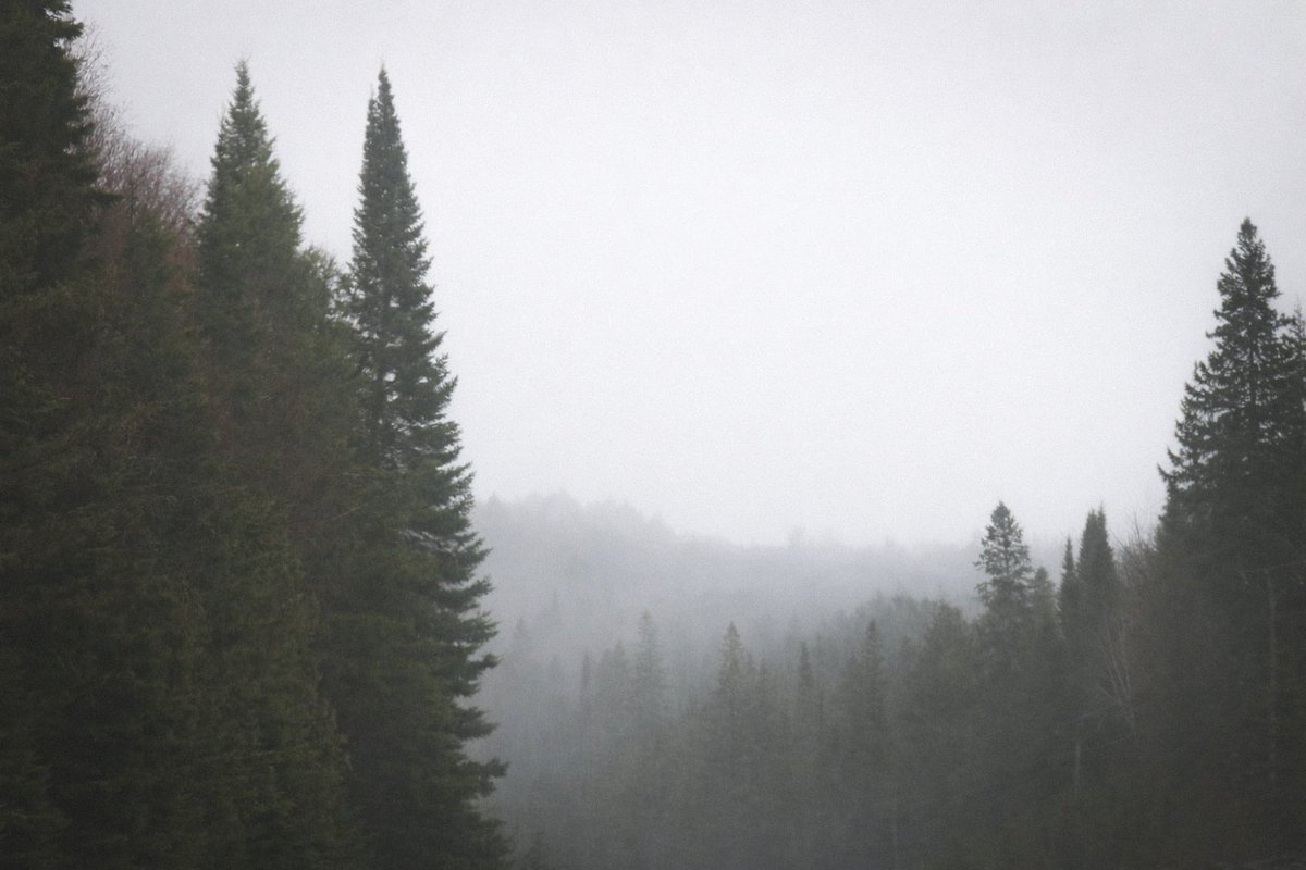 𝚂𝚞 𖠰 tweet media