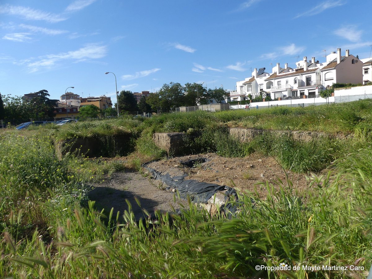 Mayte Martínez Caro tweet media