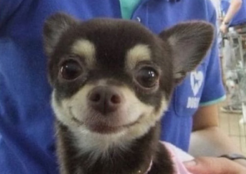 LUCKY옥수수 tweet media