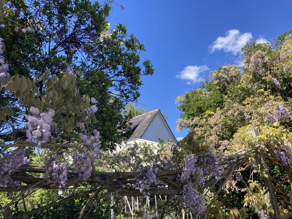 beuzec's tweet image. Beau comme un dimanche en Bretagne ! 
#SpringVibes #Bzh