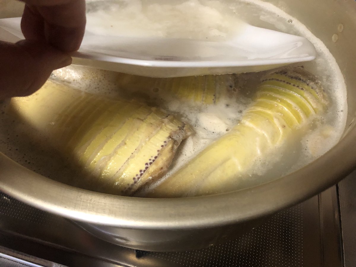 りーこ（RNボンフリーの妻）🍐 tweet media