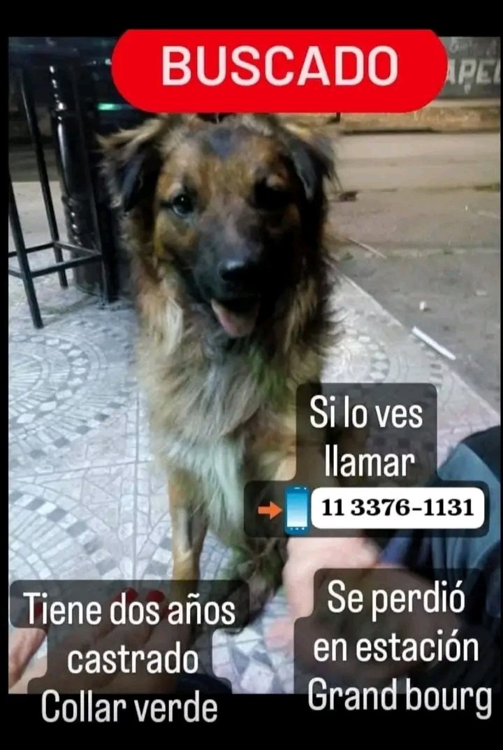 ComunicandoSiempre📣 tweet media