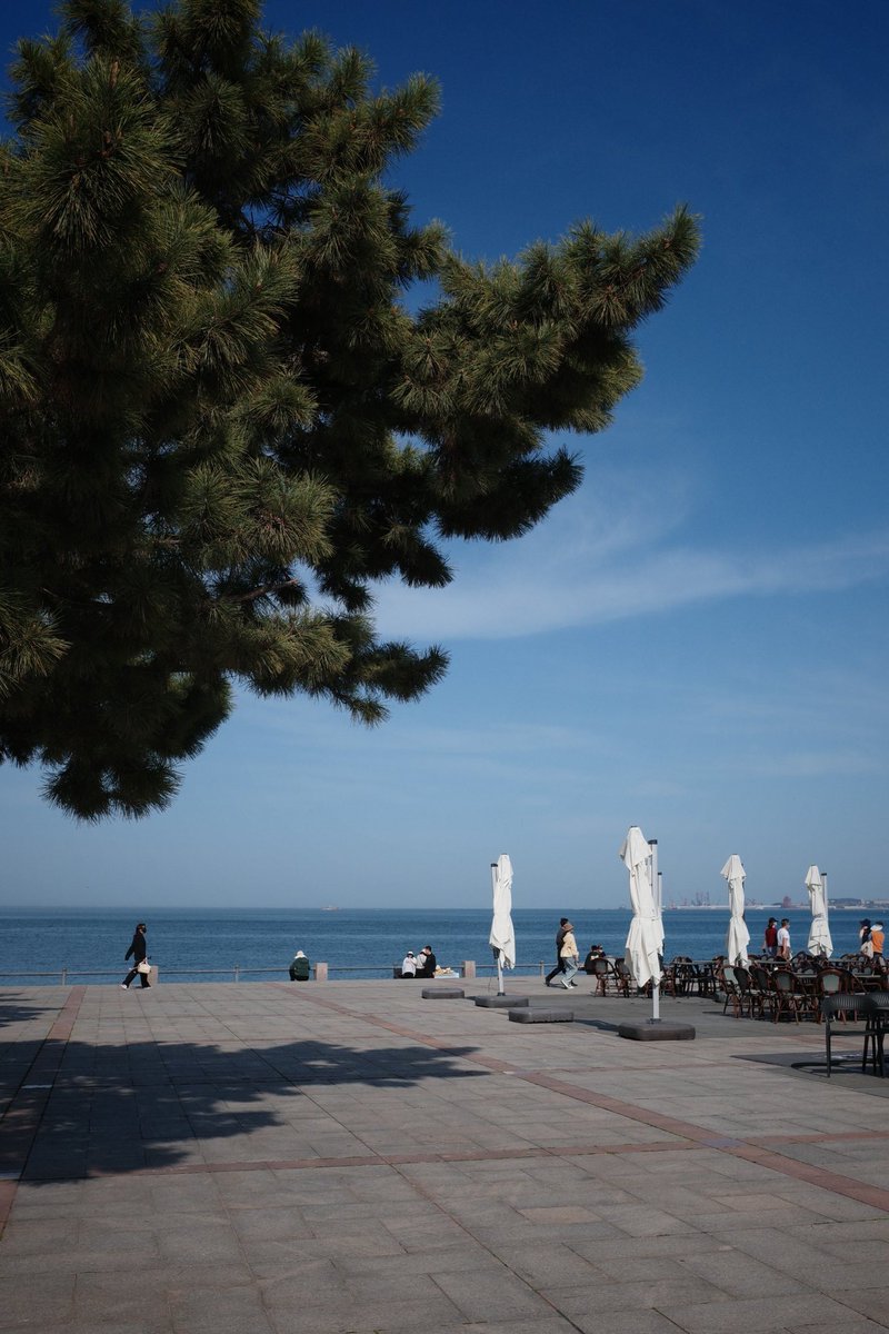 睡觉睡觉困困困2.0 tweet media