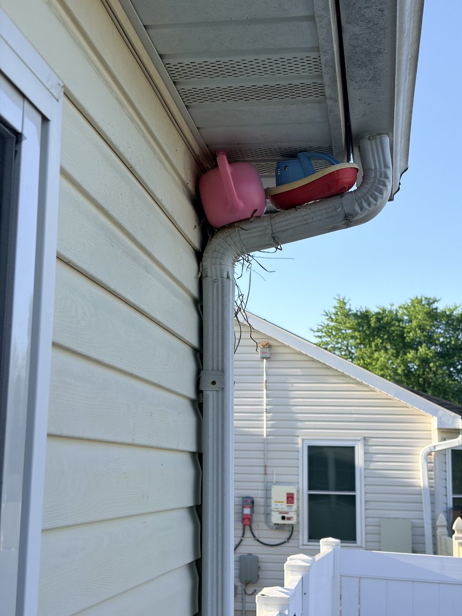 William Weedon tweet media