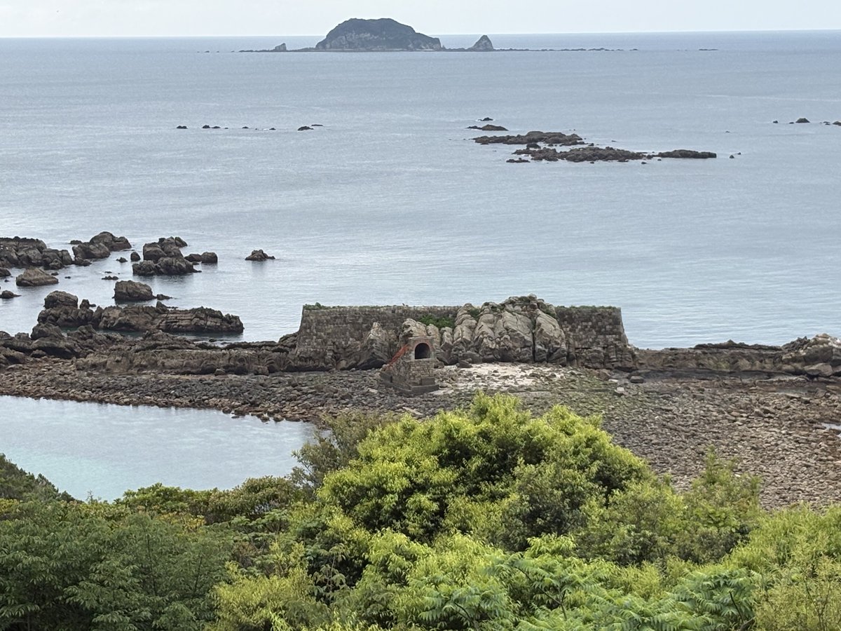 健康マニア tweet media