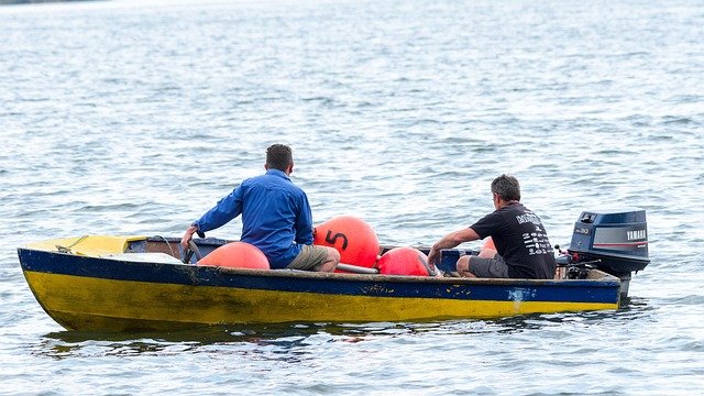 Mike Mathis tweet media