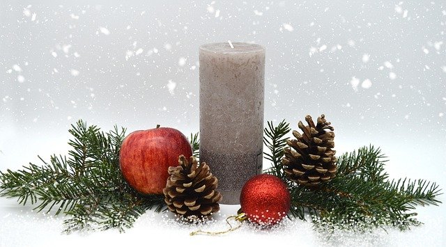 Jenny Bauer tweet media