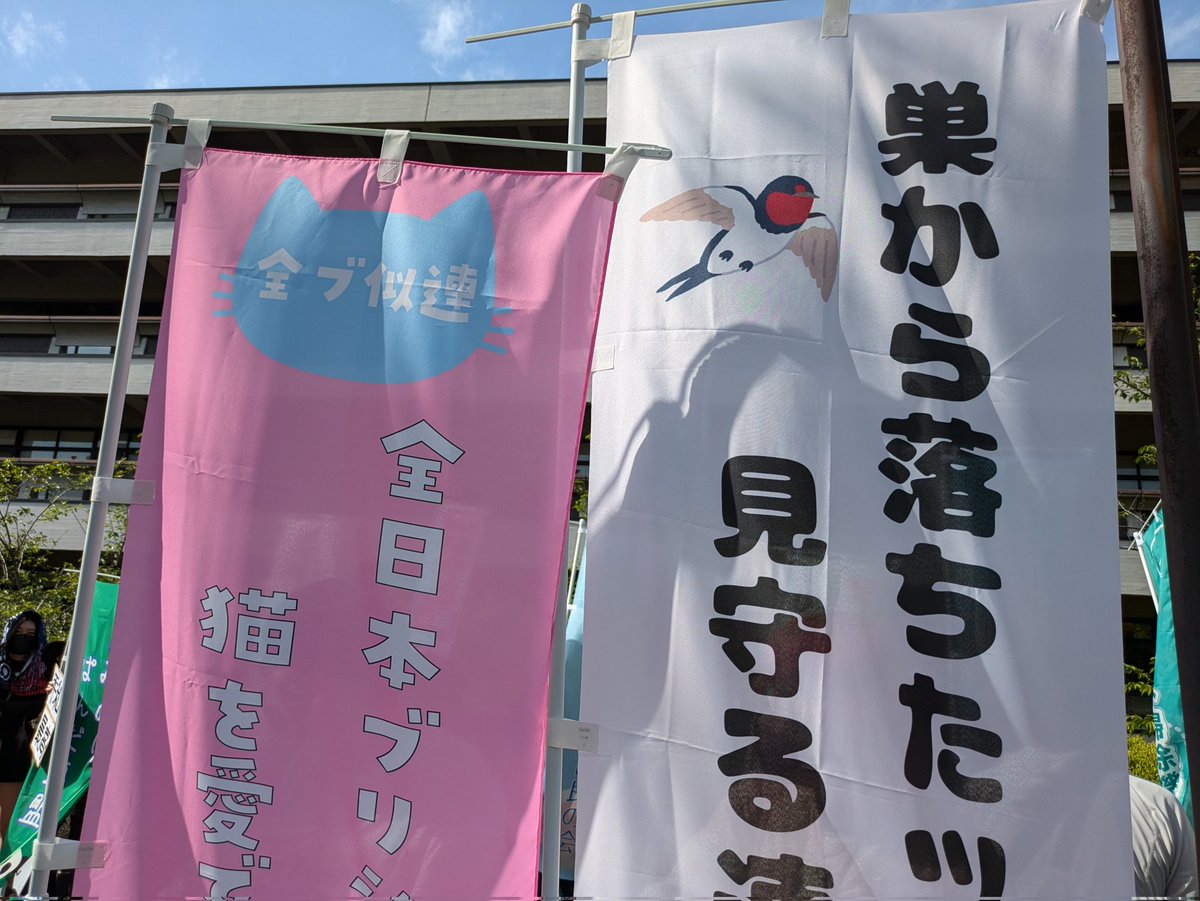 シンガーソングＧＡＧライターゆみさな tweet media