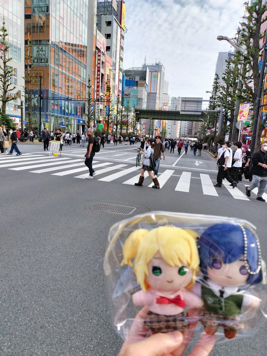 princewilliamjp's tweet image. 秋葉原はホコ天でした
人が多いのでここでもめいゆずははぐれないように手、ってえぇえーー！？Σ(￣□￣!!

#citrus