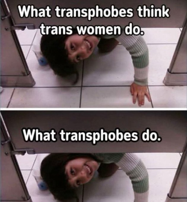 WillowTheFoxΘΔ🏳️‍⚧️🐾Pawbz are cute!🐾 tweet media