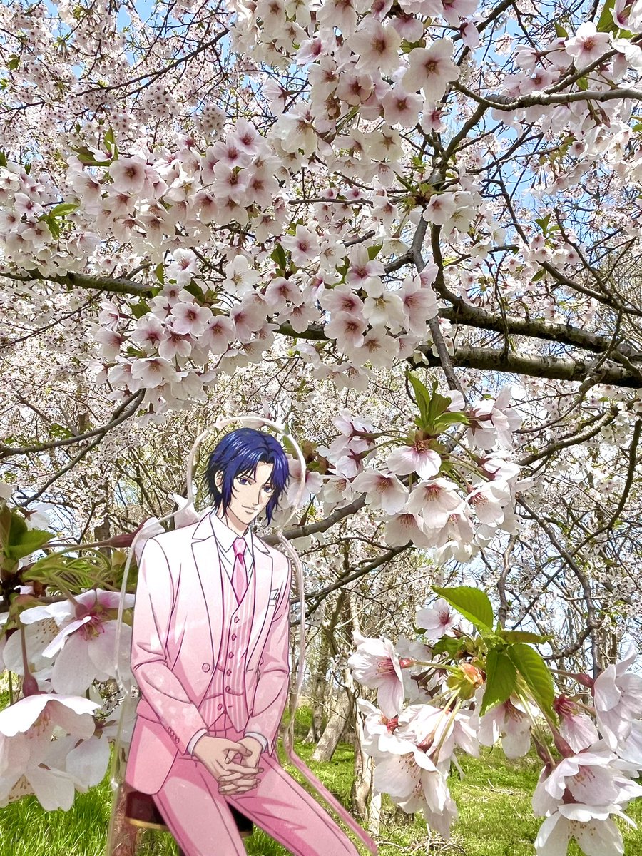 ざらめ tweet media