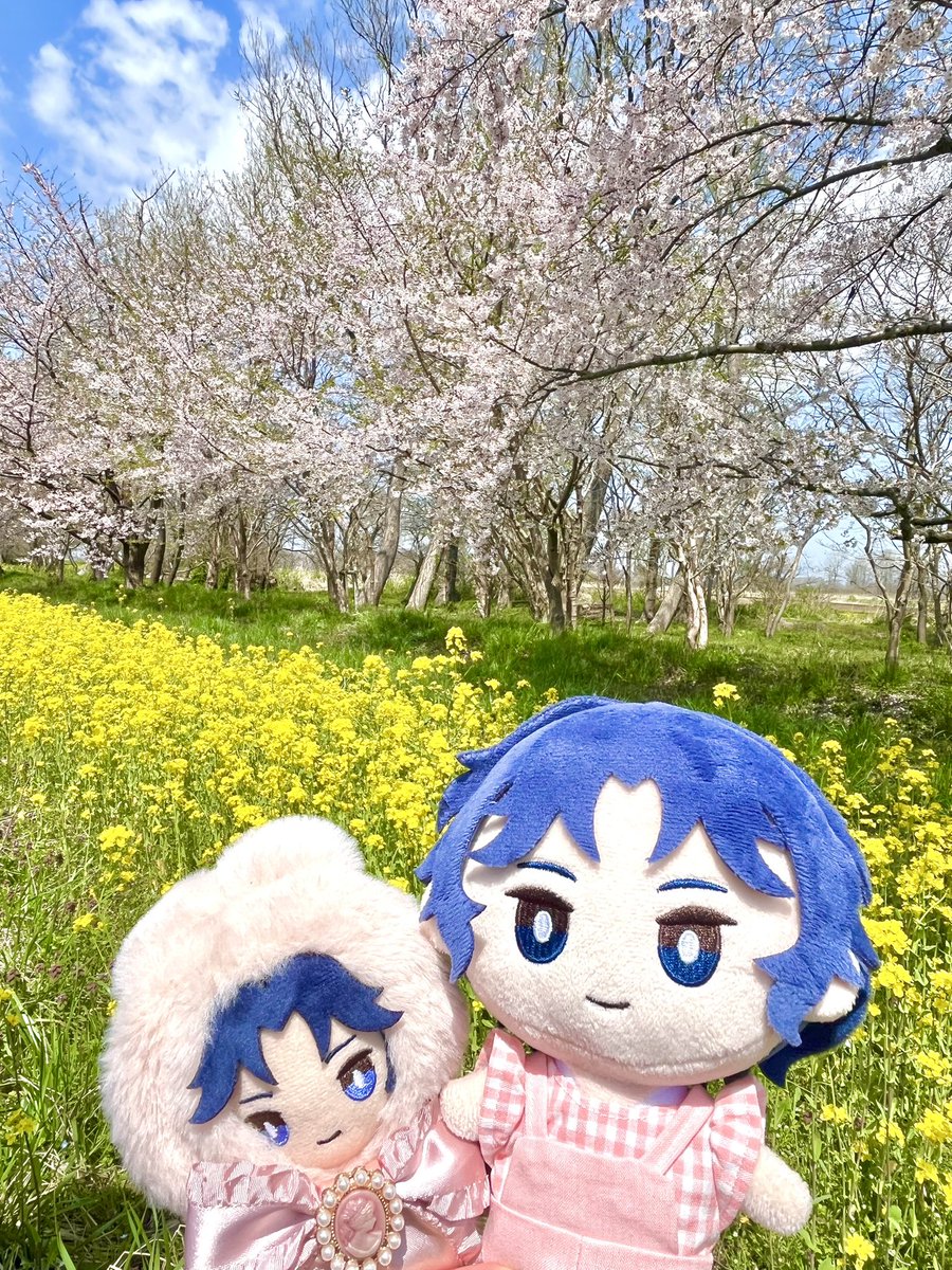 ざらめ tweet media