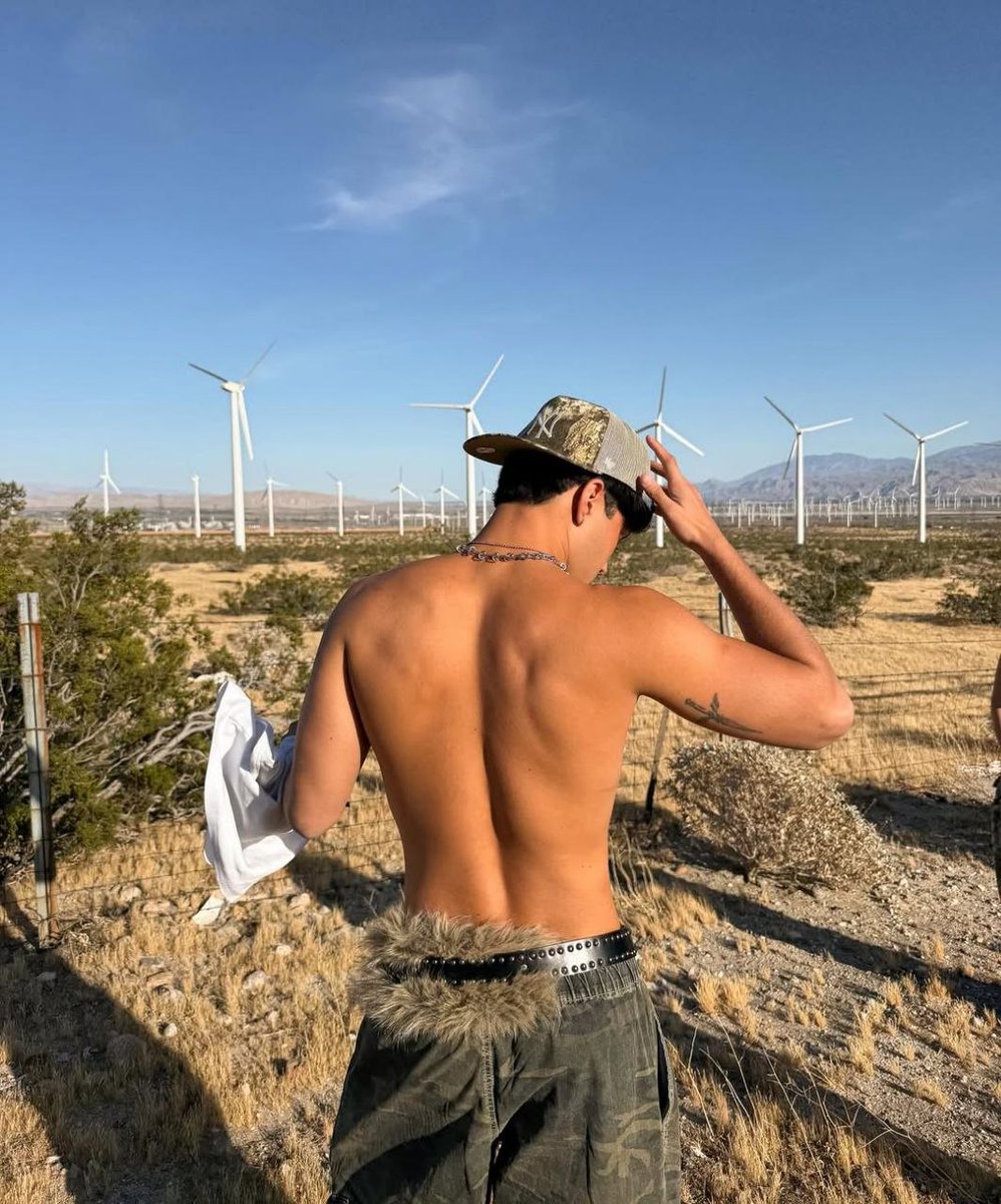 Um gato no deserto 🏜️