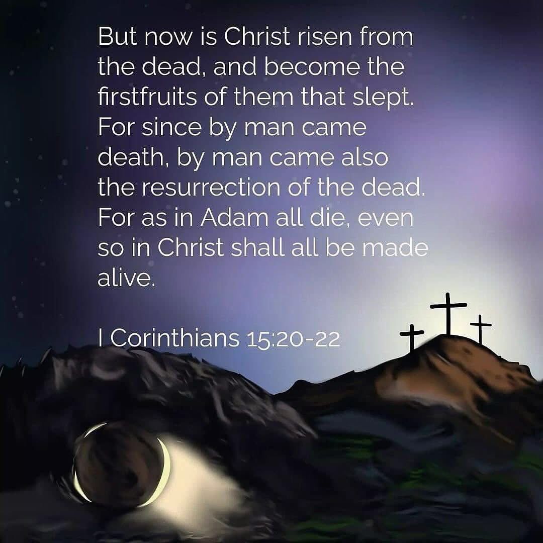 Marty Mosley (@martymosley) on Twitter photo 