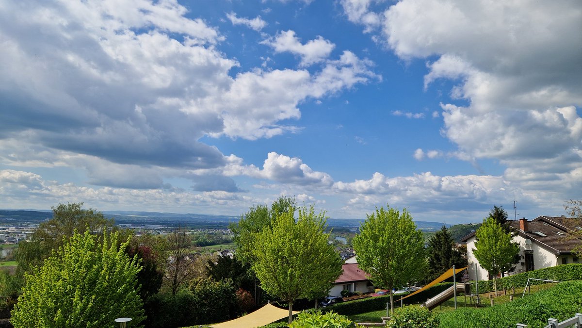 dingjun jia tweet media