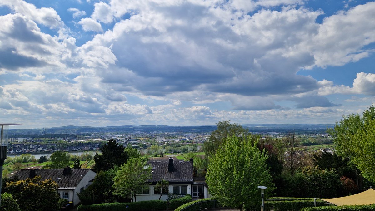 dingjun jia tweet media