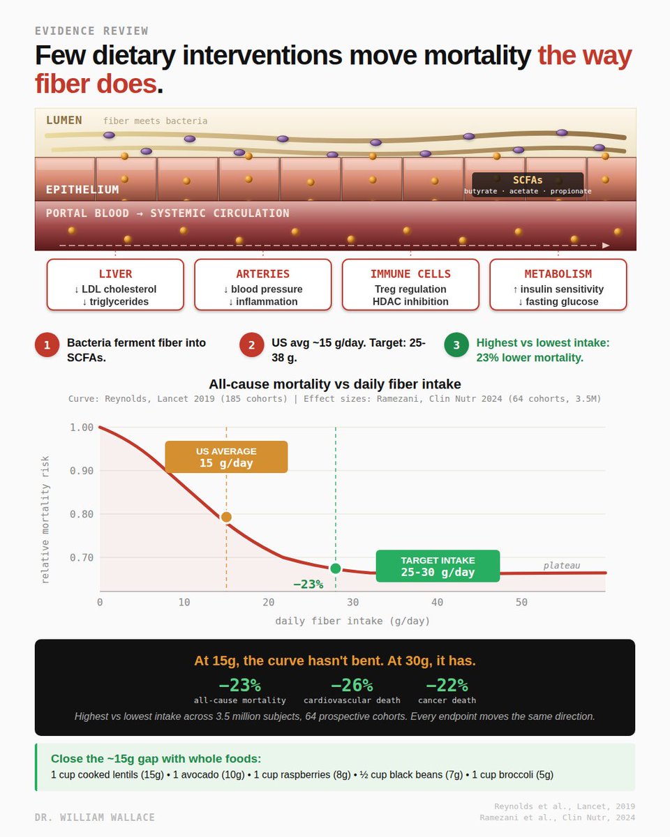William A. Wallace, Ph.D. tweet media