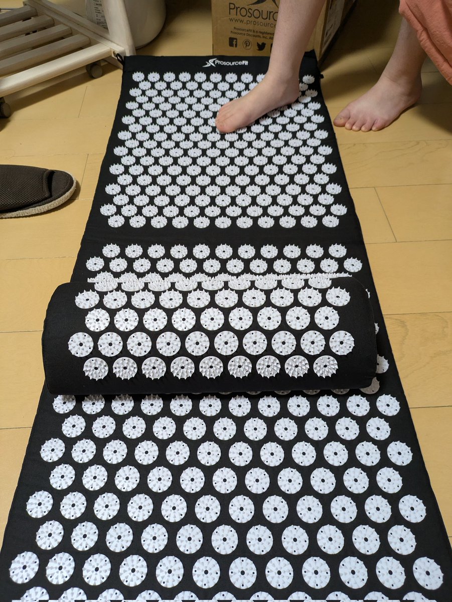 誕生日（先月）プレゼントにこんなの貰いましたが、裸足で立つのなんか絶対無理