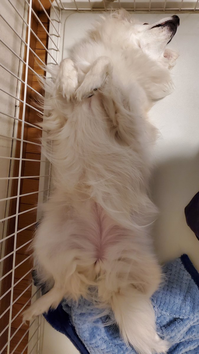 11.5kgになってしまいました