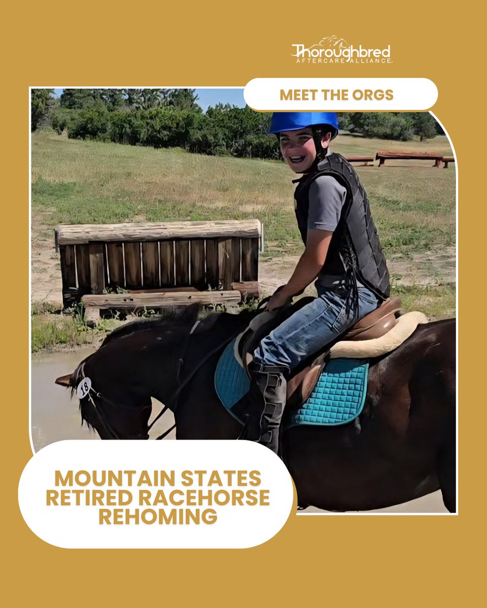 Thoroughbred Aftercare Alliance tweet media