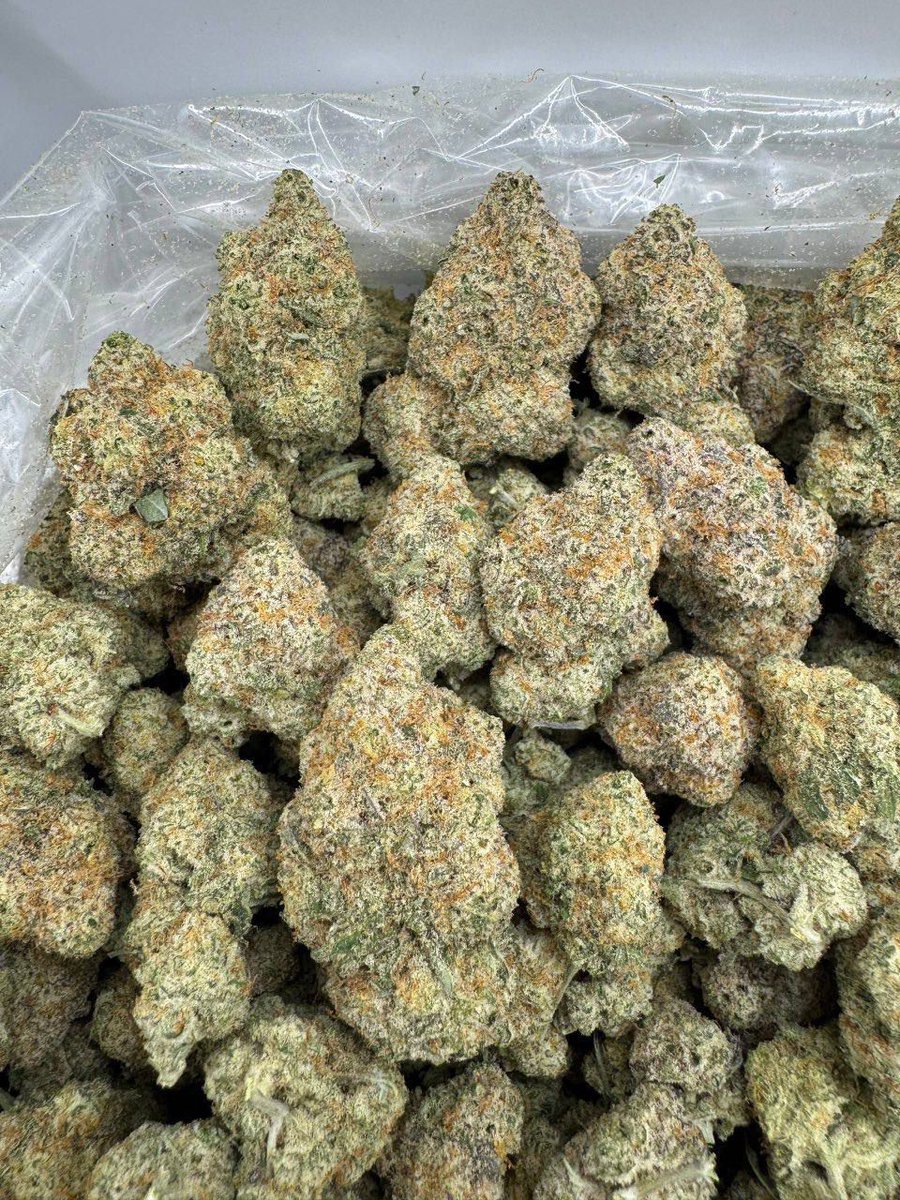 hoodchemistchat's tweet image. Captain Crush 🍬 
Pennsylvania . Philadelphia .
Ohio . Columbus . Cleveland
Michigan . Detroit . Grand Rapids
North Carolina . Charlotte . Tennessee . Nashville . Memphis
Louisiana . New Orleans . Baton 
Virginia . Richmond Missouri . 
#weed  #cannabis 
#marijuana #stoner