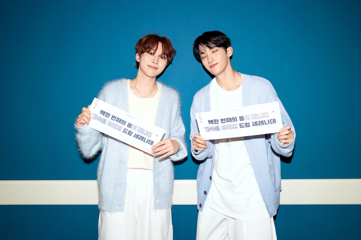 세븐틴(SEVENTEEN) tweet media