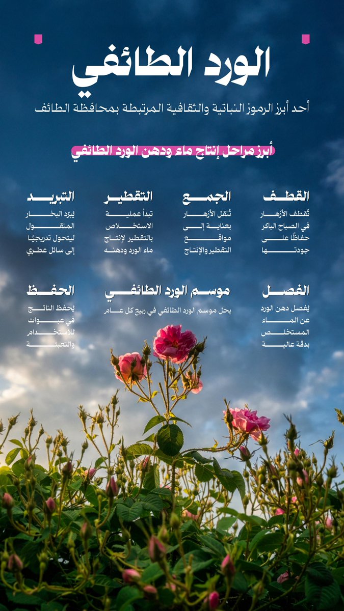 الورد الطائفي، إرث عطري وثقافي ارتبط بالطائف جيلاً بعد جيل.
#رؤية_السعودية_2030