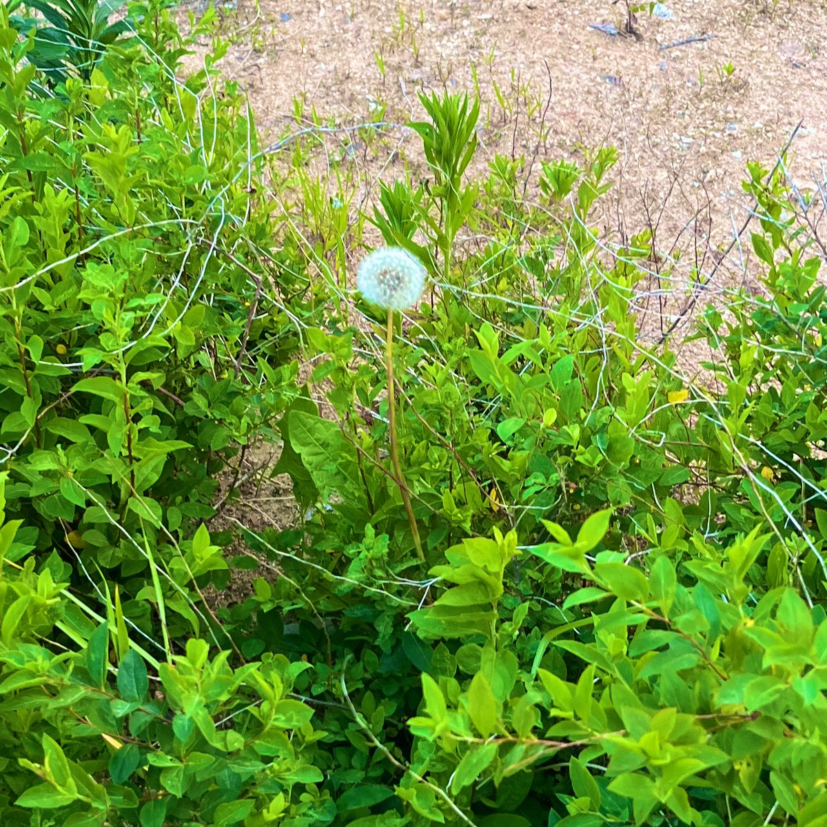 𝑚𝑖𝑛𝑖໒꒱ tweet media