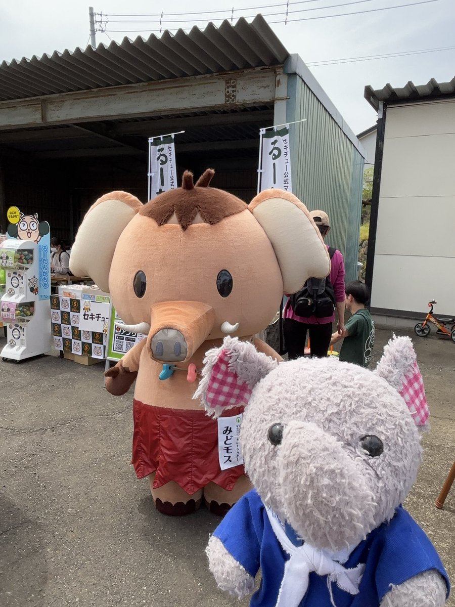 コロン tweet media