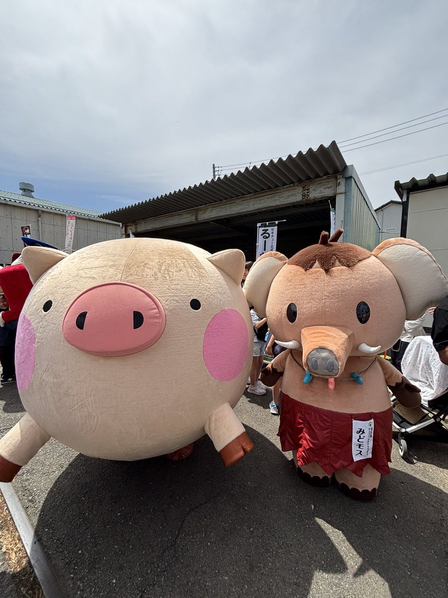 コロン tweet media