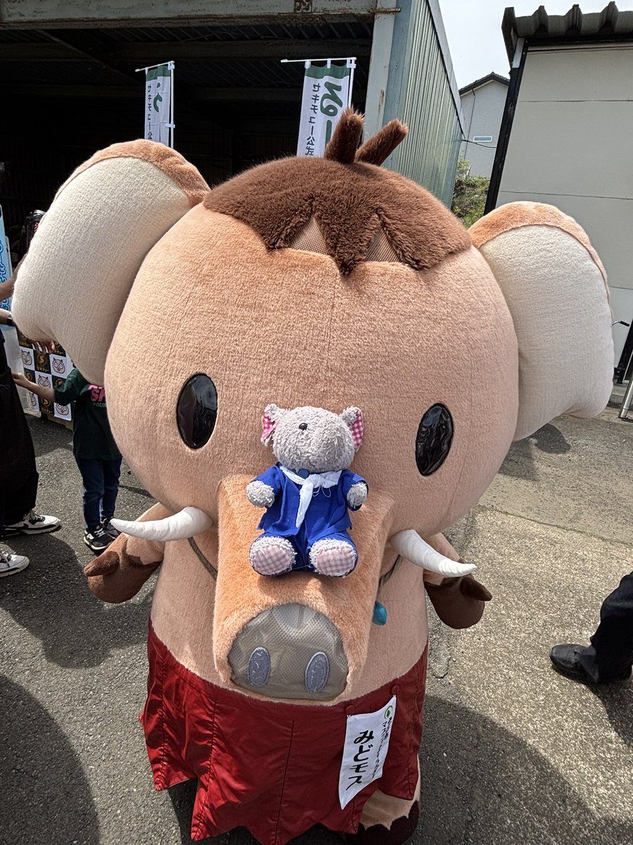 コロン tweet media
