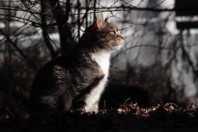 Terrence Natson tweet media