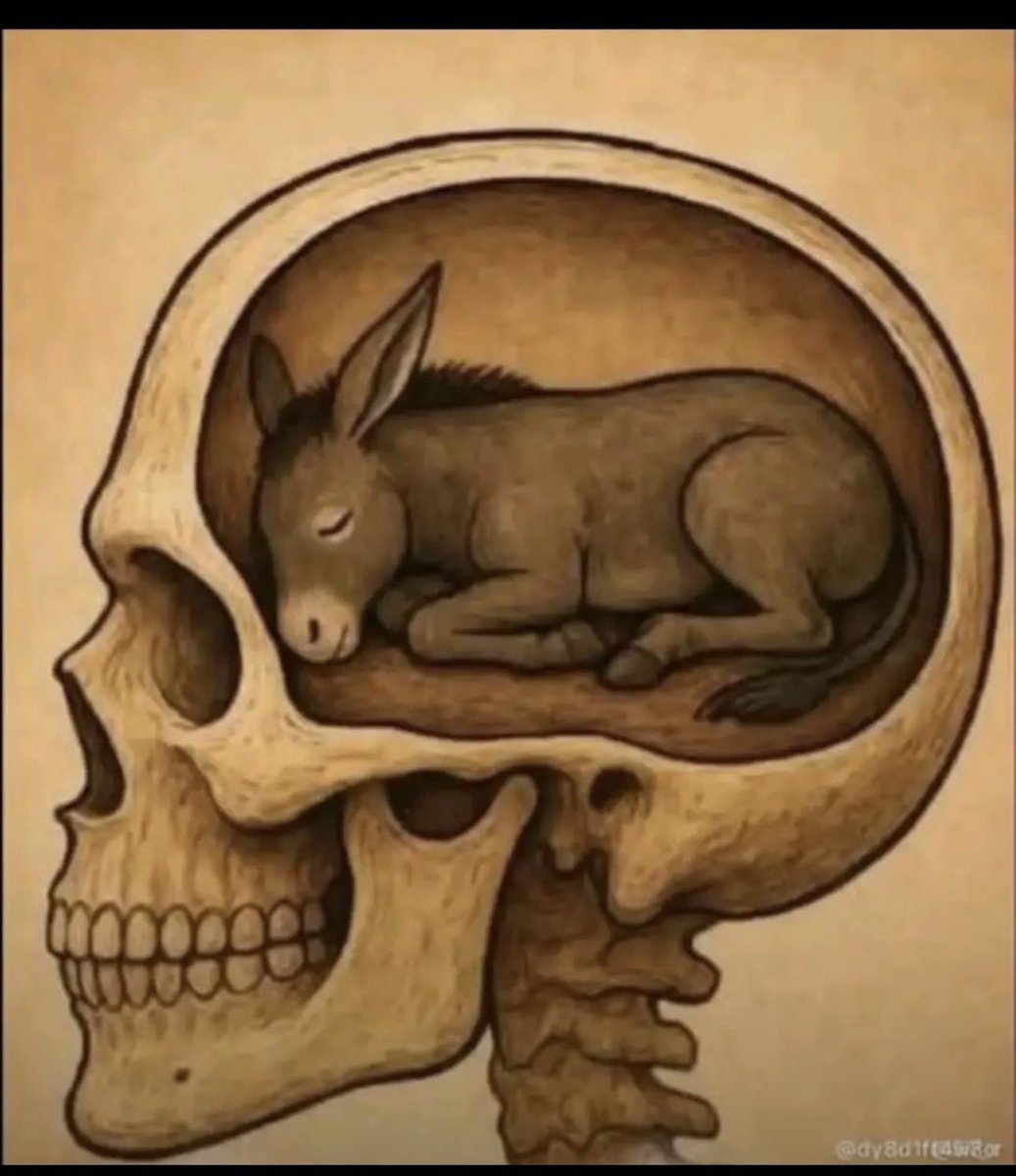 ✧ سُلْطَانُ ٱلْعُنْزِيِّ ✧ tweet media