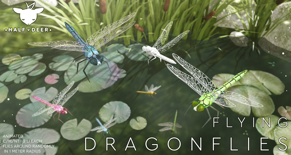 KawaiiFeedSL's tweet image. +Half-Deer+ Flying Dragonflies @ Access〡Taxi: maps.secondlife.com/secondlife/ACC… 
#SecondLife #HalfDeer #Access #secondlifeevent #secondlifecontent #KawaiiFeed