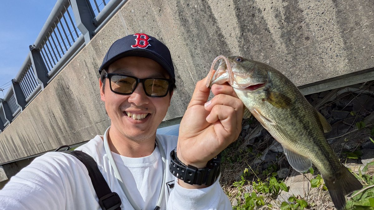 jackallhideyuki's tweet photo. 今日は、利根川の支流八間川へ行きヤミィスリムでキャッチしました。
食わせるのに苦戦しましたが、利根川産のバス釣れて良かったです😁👍
#JACKALL #ヤミィスリム 
#利根川 #八間川 https://t.co/pc1eore7iL