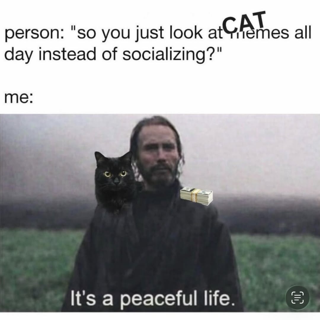 LAnDo NIFFIRG™️🇨🇦 tweet media