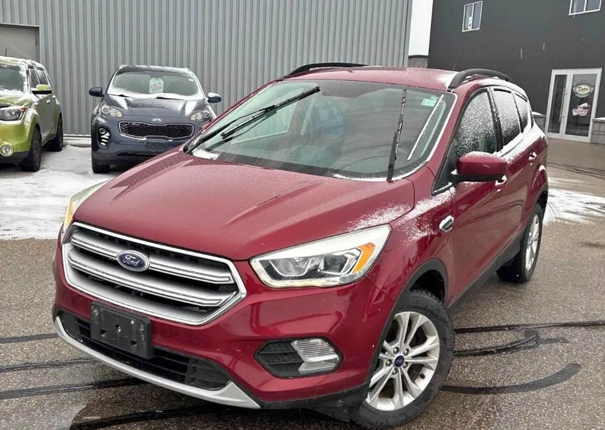 Millishield 01 🚘🌽🫑🌶🦈🐔 tweet media