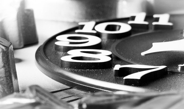 Danielle Hase tweet media