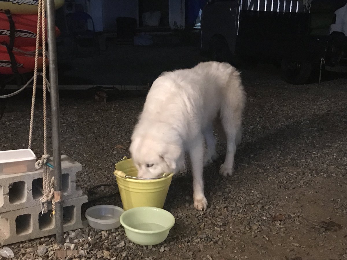 ボギーてどこん（浦添新基地建設見直し協議会） tweet media