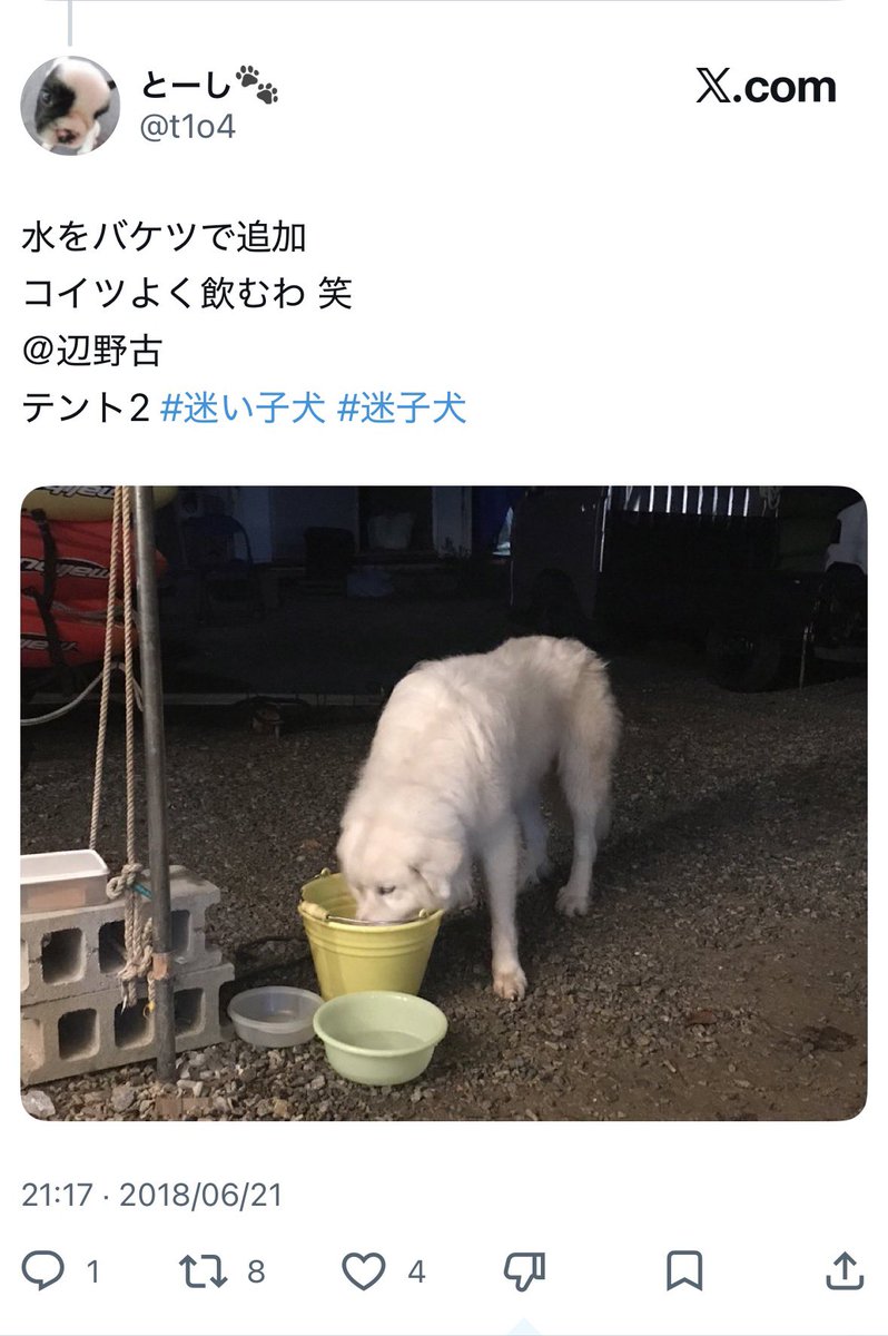 ボギーてどこん（浦添新基地建設見直し協議会） tweet media