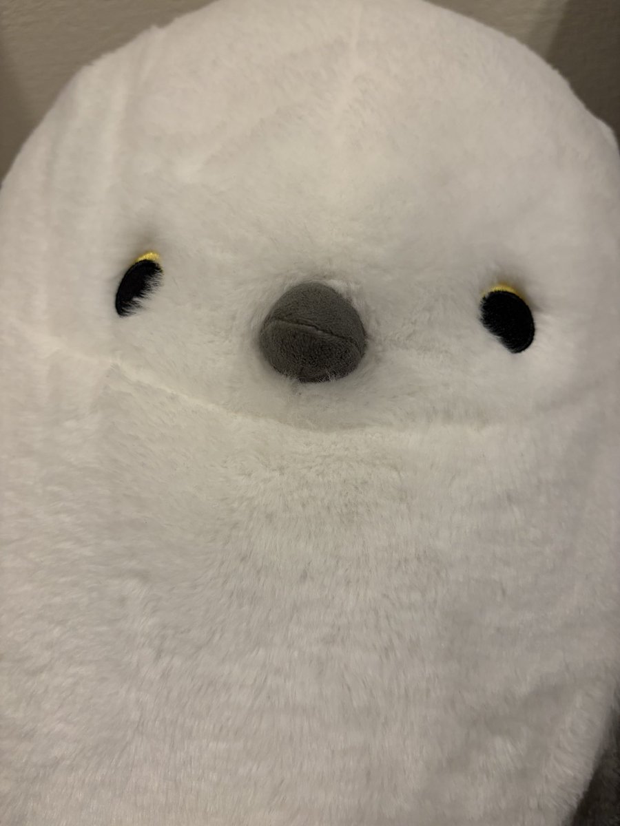 裏那圭◾️KEI URANA tweet media