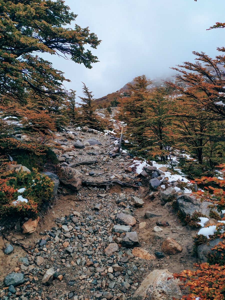 Red Turismo Argentina tweet media