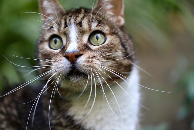 Teresa Eisma tweet media