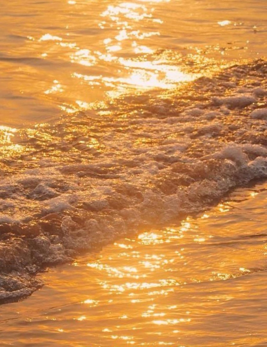 𝑙𝑦𝑟𝑎 tweet media