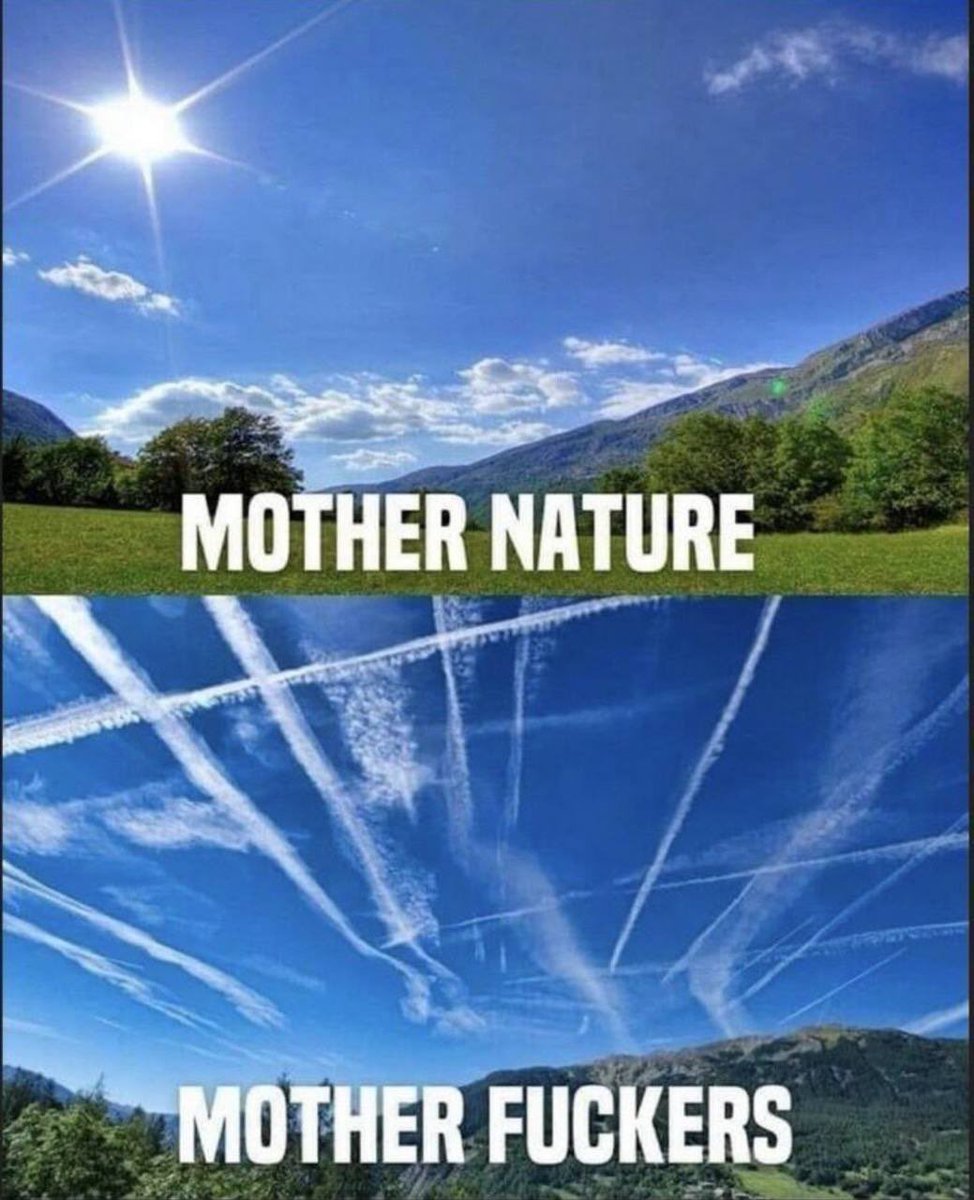 NICK BAZINET tweet media