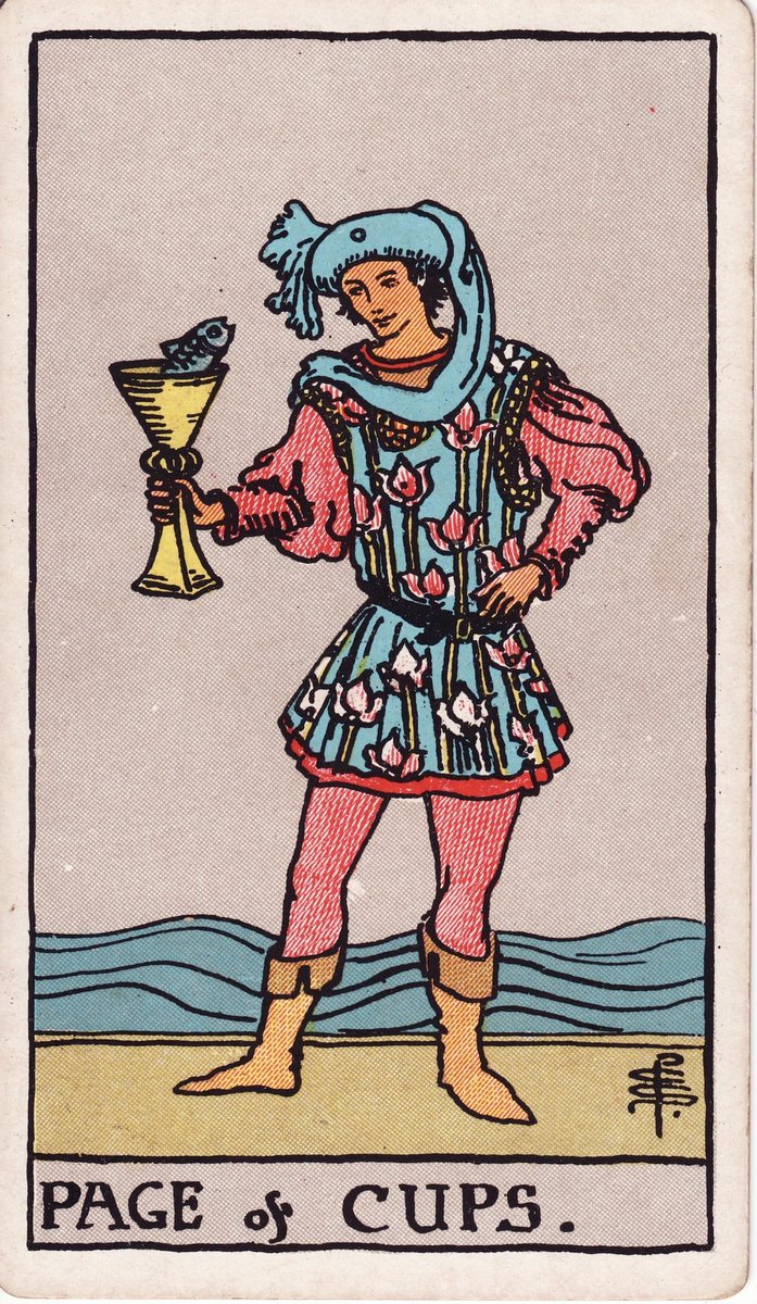 iya ✶ tarot tweet media
