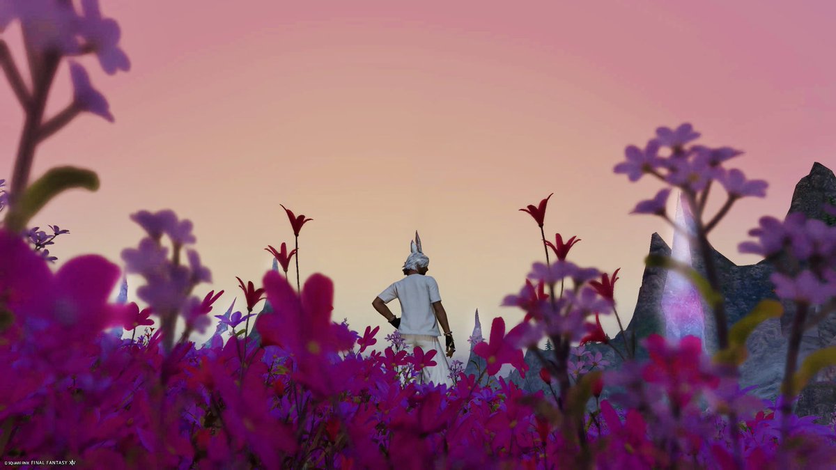 再掲
イル・メグ
たしか夕暮れ時
 #FF14SS
 #FF14キャラ入り風景SSの会