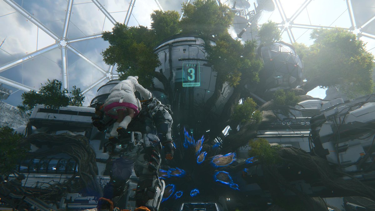 مهند مربي طيور 🦜 tweet media