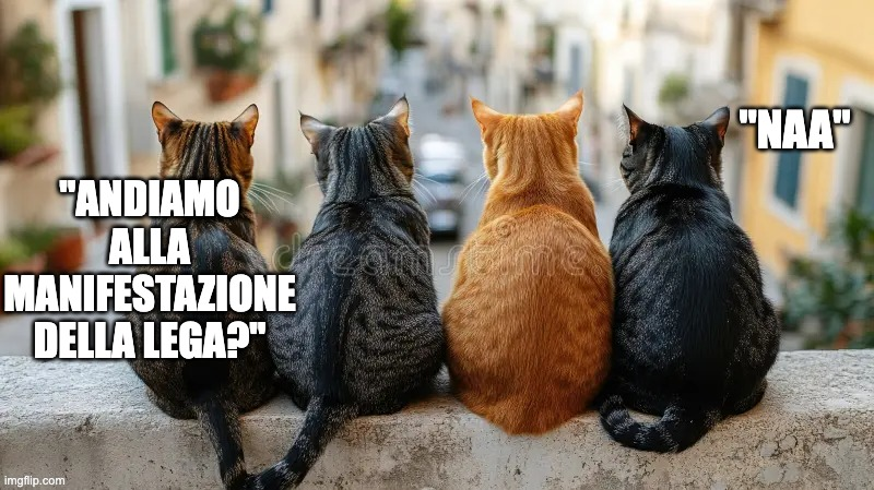 augusto rasori tweet media