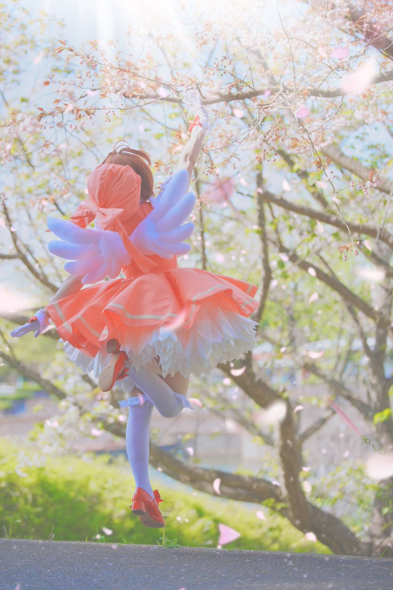 ねこてん🎭 tweet media